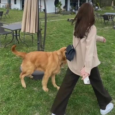 惊悚