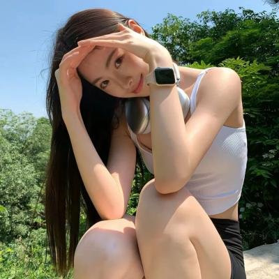 最后的飞行